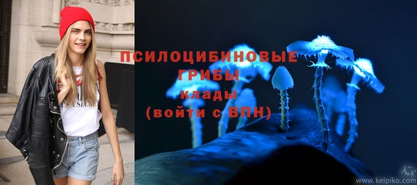 крисы Абинск
