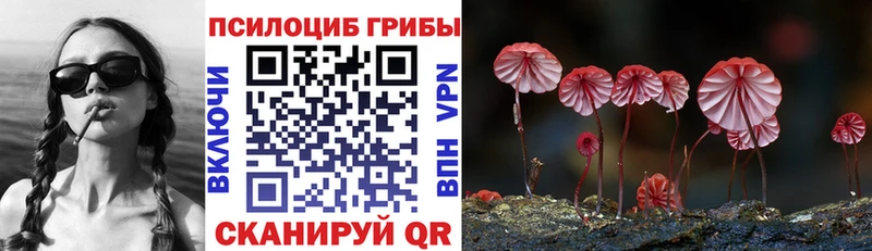 Галлюциногенные грибы MAGIC MUSHROOMS  купить   Агрыз 